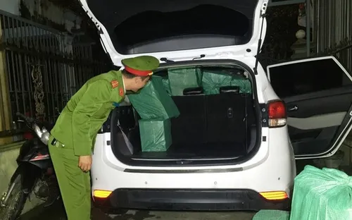Thừa Thiên Huế thu giữ gần 1000 gói thuốc lá nhập lậu