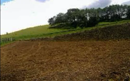 Lâm Đồng rà soát lại các tổ chức thuê đất để điều chỉnh, giải quyết theo quy định