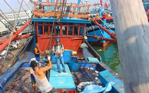 Bình Định: Đề nghị công an điều tra tình trạng bảo kê tại cảng cá Qui Nhơn