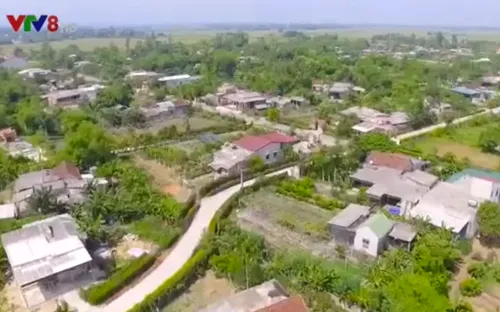 Xanh mướt hàng rào xanh ở các làng quê Hà Tĩnh