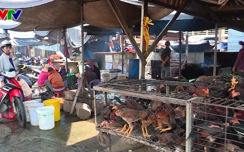 Nha Trang: Vướng quy định mới, dự án khu giết mổ tập trung không thể triển khai