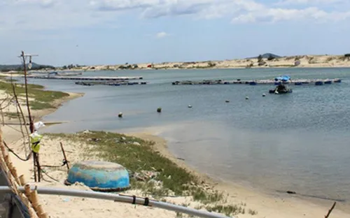 Phú Yên: Sang nhượng đất bãi bồi trái phép để nuôi tôm cao triều