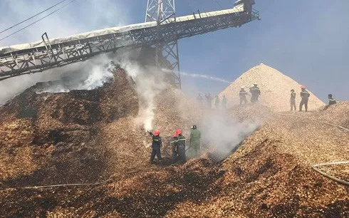Cháy tại Nhà máy chế biến dăm gỗ Cát Phú Cam Ranh