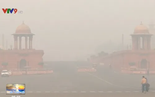 Ấn Độ: Ô nhiễm không khí vì đốt rơm rạ