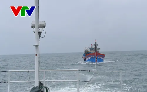 Tàu KN 322 cứu nạn 19 ngư dân tàu cá QB 91727TS