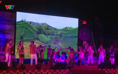 Khai mạc Lễ hội hoa dã quỳ lần thứ 2 năm 2018