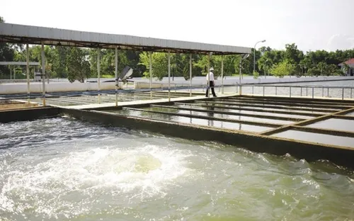 Vùng ven Đà Nẵng với nỗi lo thiếu nước sạch