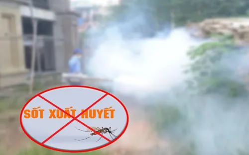 Đà Nẵng bùng phát sốt xuất huyết do người dân chủ quan phòng dịch