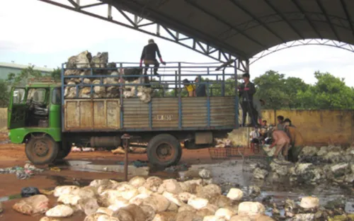 Kon Tum: Nhà máy chế biến mủ cao su gây ô nhiễm môi trường