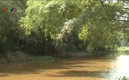 Nông nghiệp Quảng Nam đối phó với sự bất thường của thời tiết