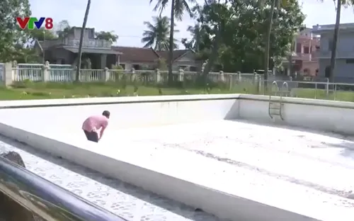 Phú Yên: Hồ bơi cả tỷ đồng bỏ không vì không có người dạy