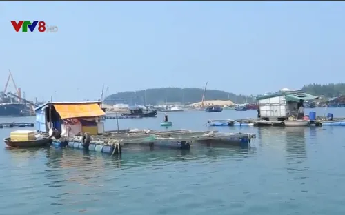 Rủi ro từ nuôi cá ngoài vùng quy hoạch