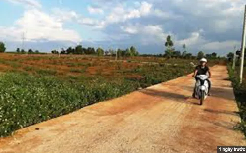 Gia Lai, hàng loạt cán bộ sai phạm liên quan đến đất đai