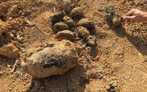 Hà Tĩnh: Tiêu hủy 800 vật liệu nổ sót lại sau chiến tranh