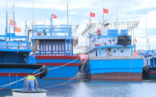 Ngăn ngừa phát sinh nợ xấu từ các khoản vay theo NĐ 67