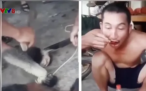 Truy tìm đối tượng giết khỉ dã man đưa lên Facebook tại Hà Tĩnh