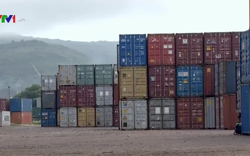 Giữ 7 container nhựa phế liệu vô chủ tại cảng Quy Nhơn