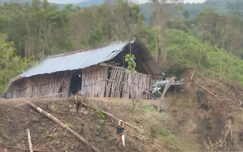 Áp lực dân di cư đối với công tác bảo vệ rừng Nam Tây Nguyên