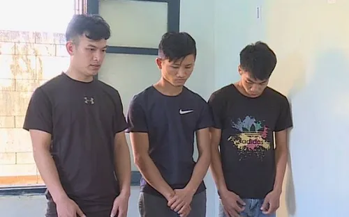 Bắt 3 đối tượng trộm cắp nông sản ở Đắk Lắk