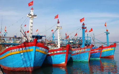 Khánh Hòa: Thu hồi nợ vay đóng mới, nâng cấp tàu cá theo NĐ 67