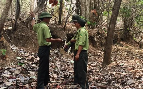 Để mất rừng, 17 cán bộ kiểm lâm ở Đắk Lắk bị kỷ luật