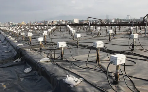 Chính thức xoá tên sân bay Đà Nẵng khỏi danh sách "điểm nóng" phơi nhiễm dioxin