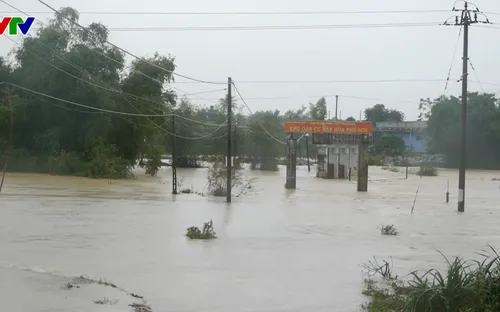 Bình Định: Nhiều đoạn tỉnh lộ ngập sâu, địa bàn bị chia cắt do mưa lớn