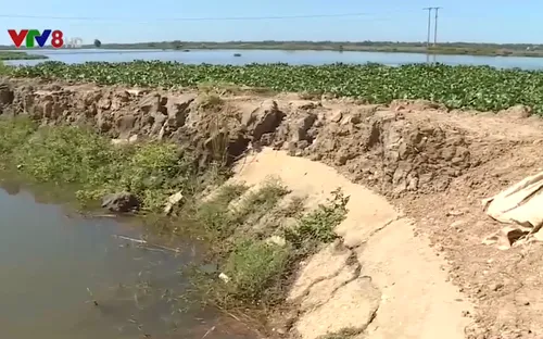 Thừa Thiên Huế: Hơn 300km tuyến đê bị xuống cấp nghiêm trọng