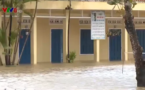 Quảng Ngãi cảng báo lũ dâng cao trở lại