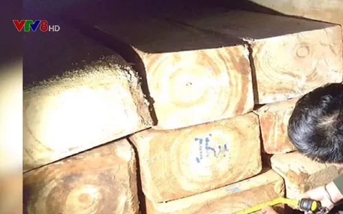 Quảng Bình: ‘Lâm tặc’ dùng xe 16 chỗ đâm thẳng vào kiểm lâm để tẩu thoát