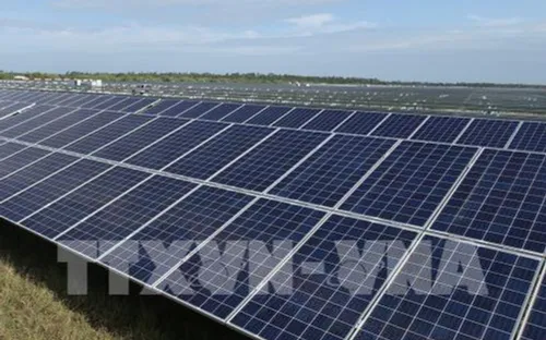 Dự án điện mặt trời đầu tiên ở Khánh Hòa sẽ đóng điện vào tháng 4/2019