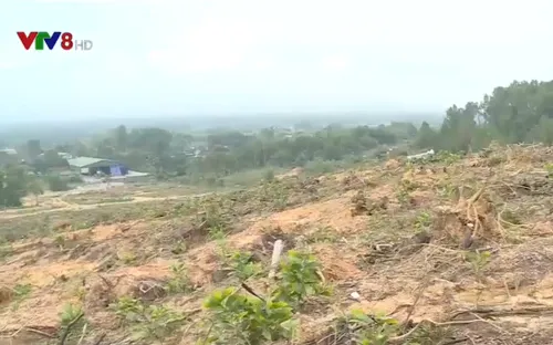 Hà Tĩnh: Bất cập trong công tác quản lý, chuyển đổi đất lâm nghiệp