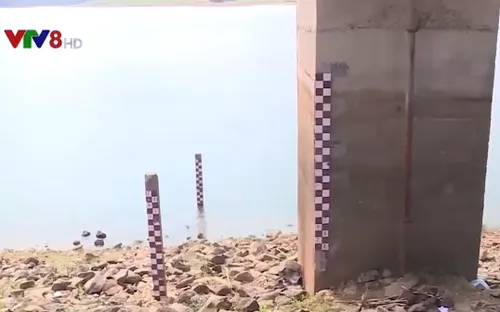 Quảng Trị: Hạn hán đang ở mức báo động