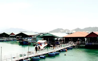 Đề xuất ngưng dịch vụ nhà hàng nổi trên vịnh Nha Trang