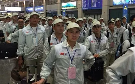 Cảnh báo lừa đảo người lao động đi làm việc tại Nhật Bản