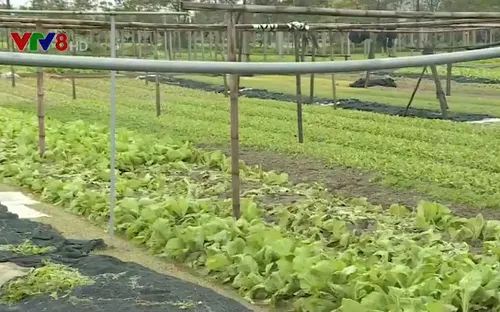 Nghệ An khẩn trương khắc phục hậu quả mưa lũ