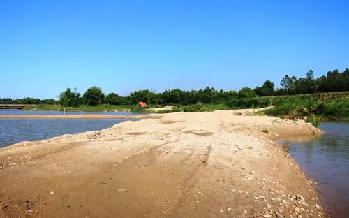 Quảng Ngãi: Kỷ luật Bí thư, Chủ tịch xã "vòi tiền" doanh nghiệp khai thác cát