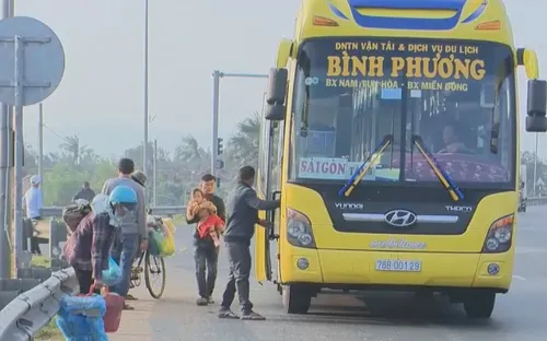 Xe dù bến cóc bùng phát vào dịp cuối năm