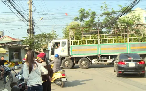 Lộn xộn giao thông ở vùng trồng hoa Phú Yên