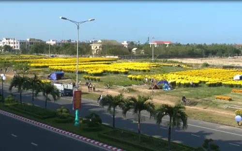 Sắc hoa vàng ngày Tết tràn ngập phố phường