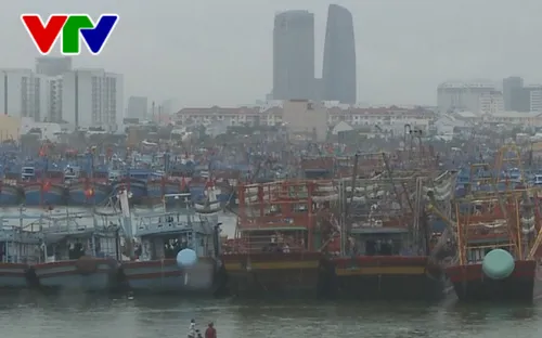 Các tỉnh, thành phố từ Đà Nẵng đến Kiên Giang chủ động ứng phó với bão Sanba