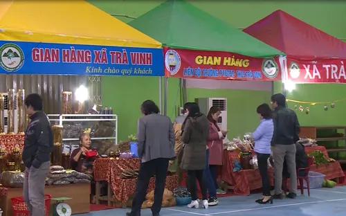 Phiên chợ sâm Ngọc Linh - Phiên chợ ngày xuân