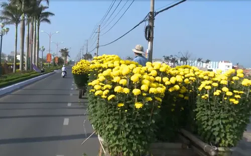 "Đừng để 30 Tết mới mua hoa" - Lời kêu gọi san sẻ khó khăn với nông dân