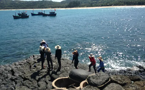 Lượng khách du lịch đến Phú Yên trong dịp Tết tăng cao