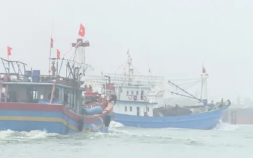 Ngư dân Thừa Thiên Huế sôi nổi xuất quân đánh bắt vụ cá nam