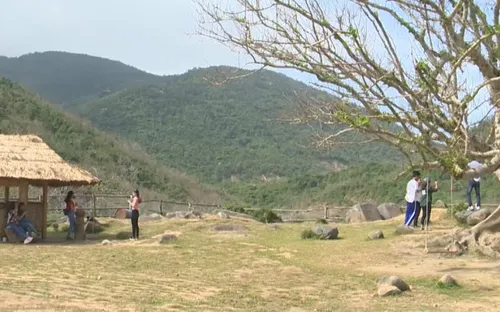 Phú Yên: Nông trại "B and U farm" gây sốt mạng xã hội