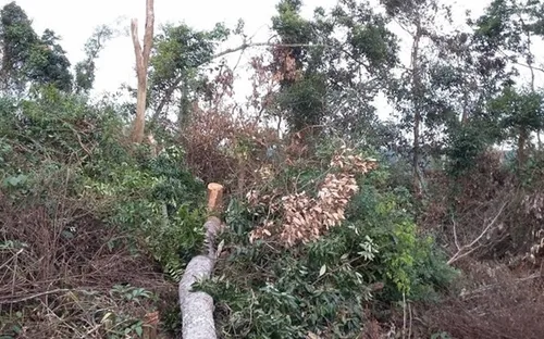 Phú Yên: Kỷ luật một số cán bộ chủ chốt của huyện Đồng Xuân và huyện Tây Hòa