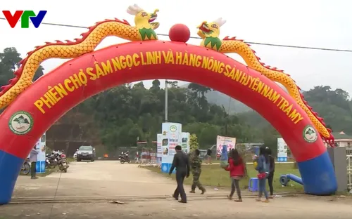 Quảng Nam: Phiên chợ sâm núi Ngọc Linh thu hơn 4 tỷ đồng