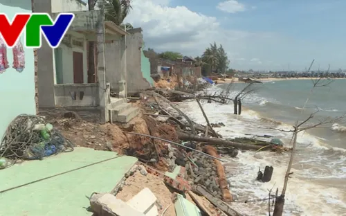 Triều cường và xâm thực bờ biển đe dọa cuộc sống người dân Bình Thuận