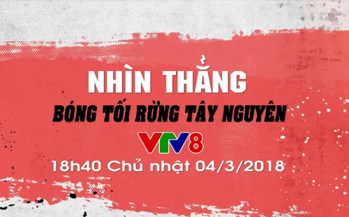 Nhìn thẳng: "Bóng tối rừng Tây Nguyên" (18h40 Chủ Nhật, 04/3 trên VTV8)